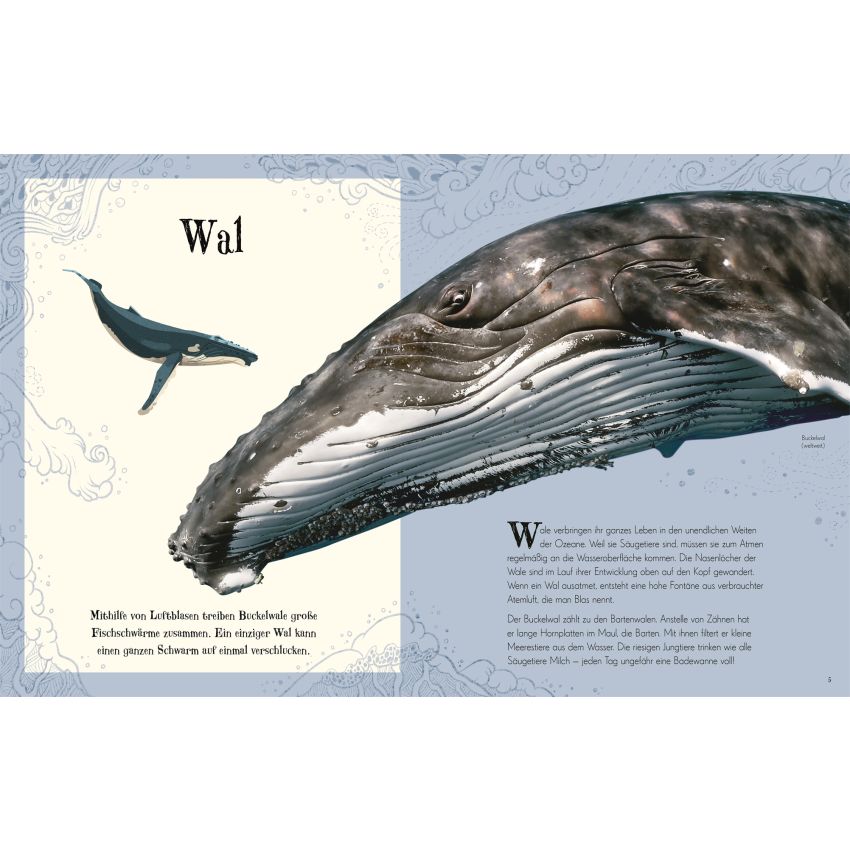 Dorling Kindersley - Wundervolle Welt der Tiere