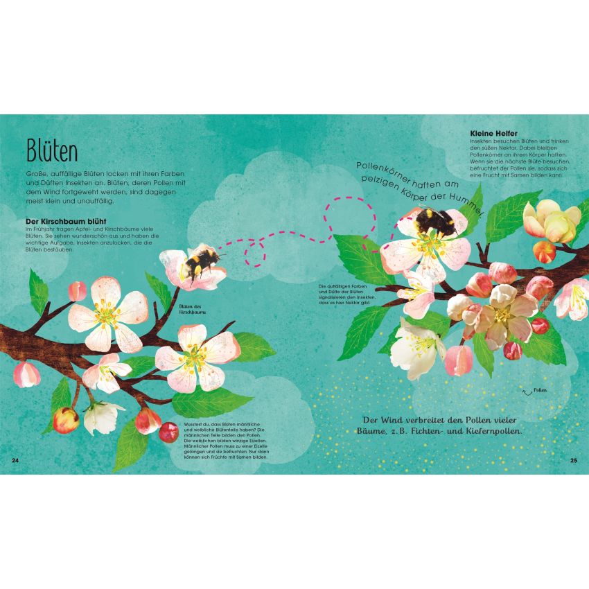 Dorling Kindersley -  Bäume - Entdecke die verborgene Welt des Waldes