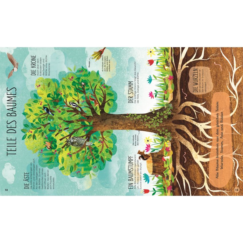 Dorling Kindersley -  Bäume - Entdecke die verborgene Welt des Waldes