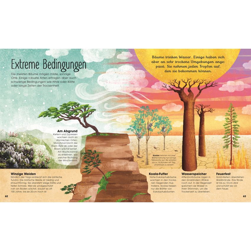 Dorling Kindersley -  Bäume - Entdecke die verborgene Welt des Waldes