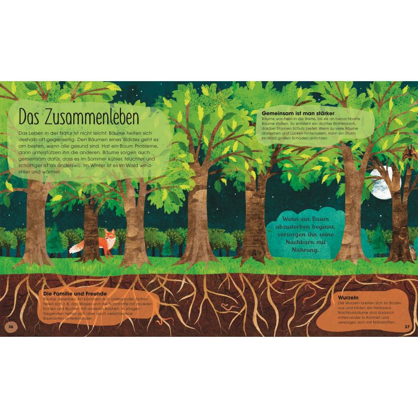 Dorling Kindersley -  Bäume - Entdecke die verborgene Welt des Waldes