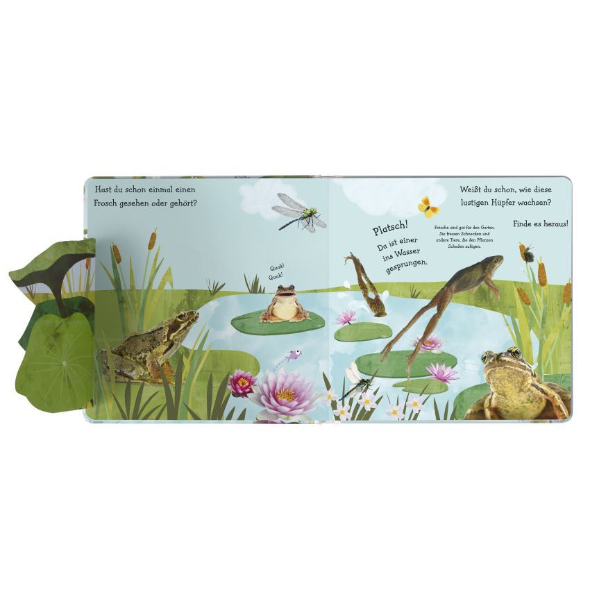 Dorling Kindersley - Wie wird die Kaulquappe zum Frosch?