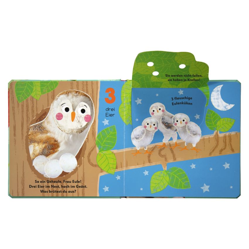 Dorling Kindersley - Aus dem Ei - 1 2 3 - Aufklappen und zählen von 1-10