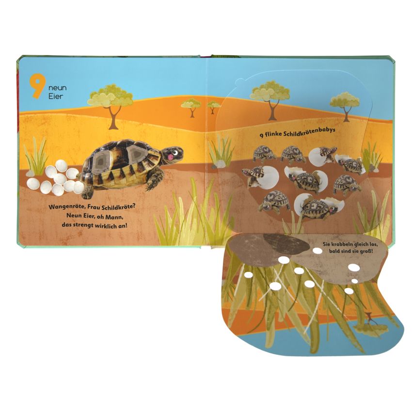 Dorling Kindersley - Aus dem Ei - 1 2 3 - Aufklappen und zählen von 1-10