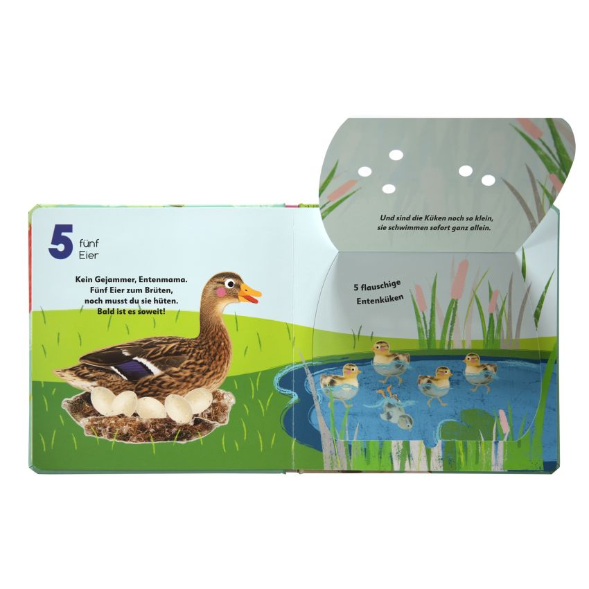 Dorling Kindersley - Aus dem Ei - 1 2 3 - Aufklappen und zählen von 1-10
