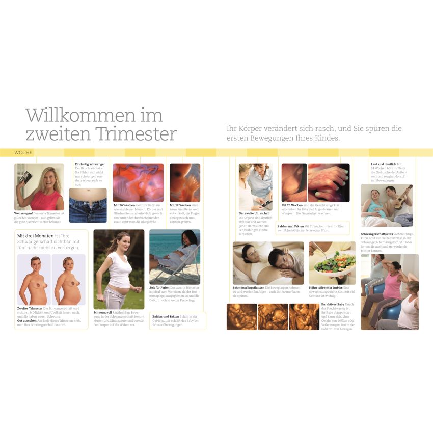 Dorling Kindersley - Alles über meine Schwangerschaft Tag für Tag