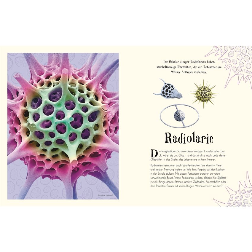 Dorling Kindersley - Wundervolle Welt der Natur