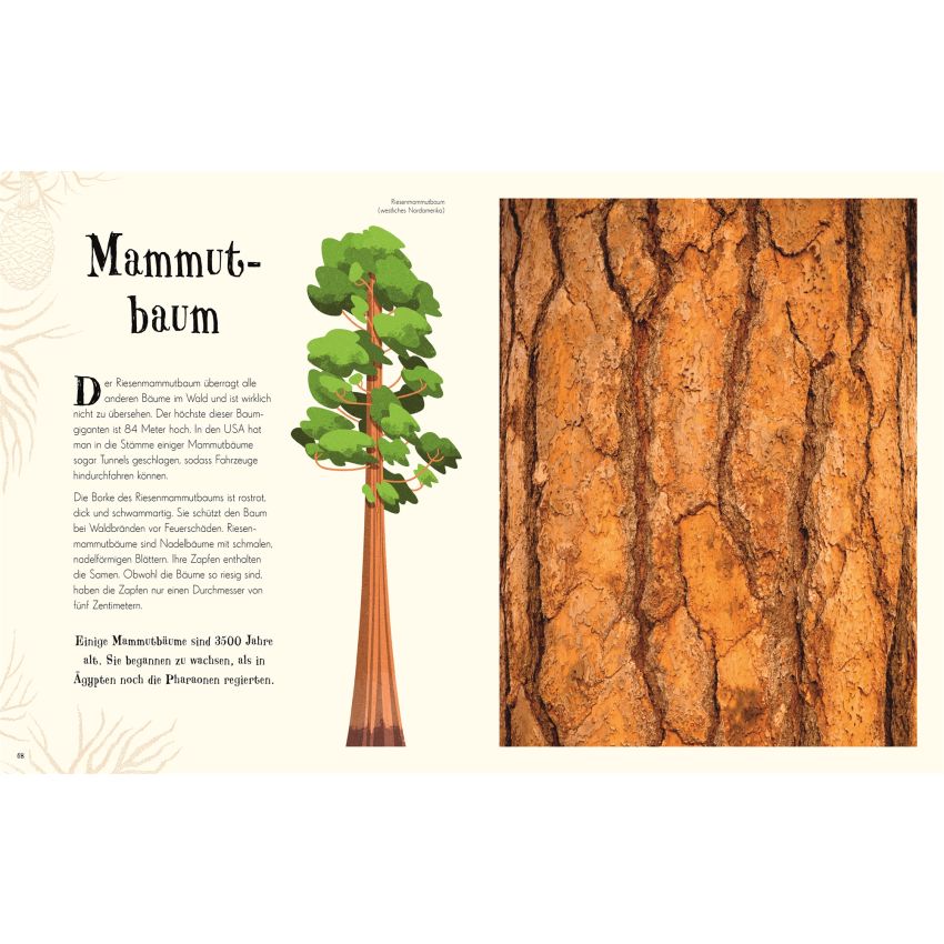 Dorling Kindersley - Wundervolle Welt der Natur