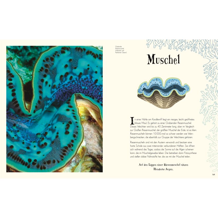 Dorling Kindersley - Wundervolle Welt der Natur