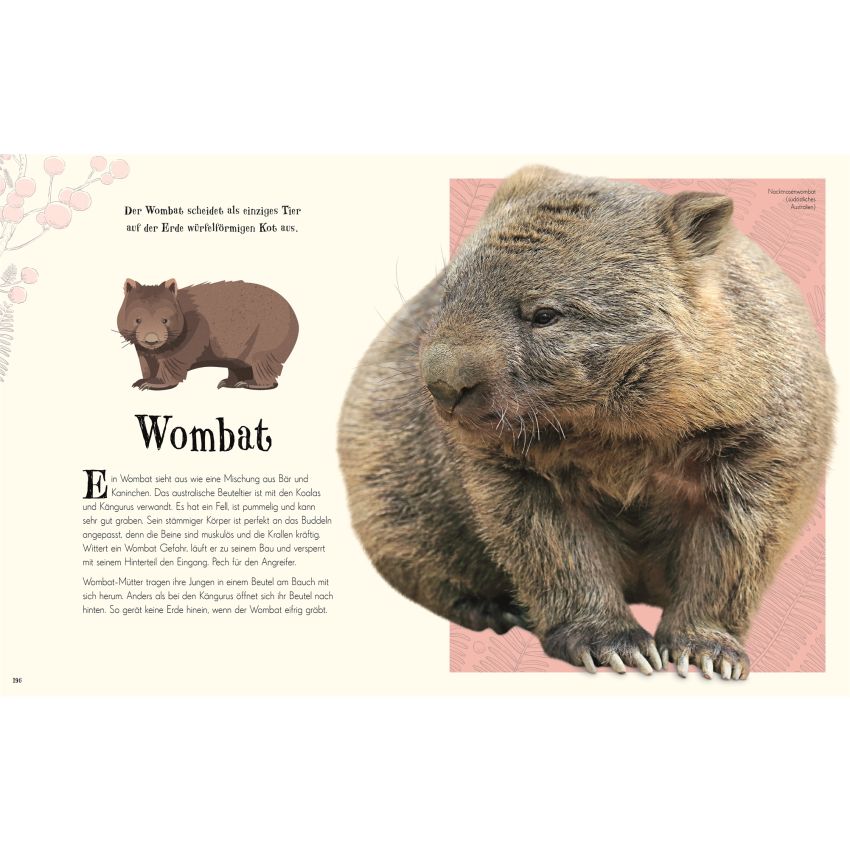 Dorling Kindersley - Wundervolle Welt der Natur