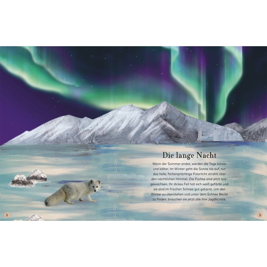 Dorling Kindersley - Wilde Tiere - Eine Reise durch frostige Wälder, tiefe Meere und dichte Dschunge