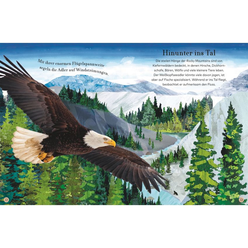 Dorling Kindersley - Wilde Tiere - Eine Reise durch frostige Wälder, tiefe Meere und dichte Dschunge