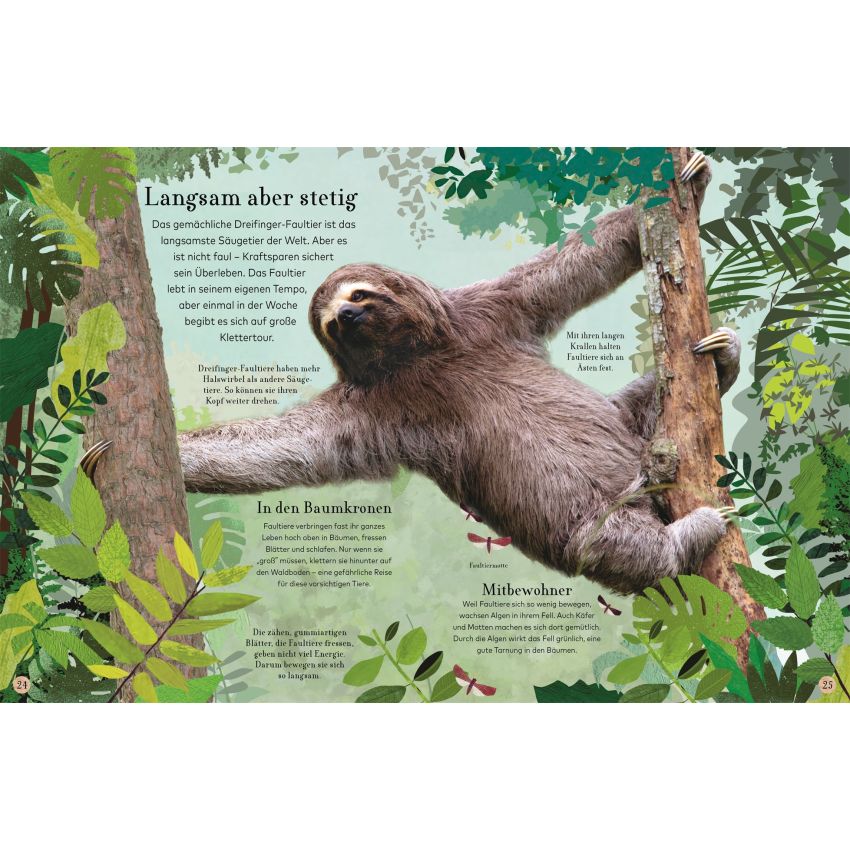 Dorling Kindersley - Wilde Tiere - Eine Reise durch frostige Wälder, tiefe Meere und dichte Dschunge