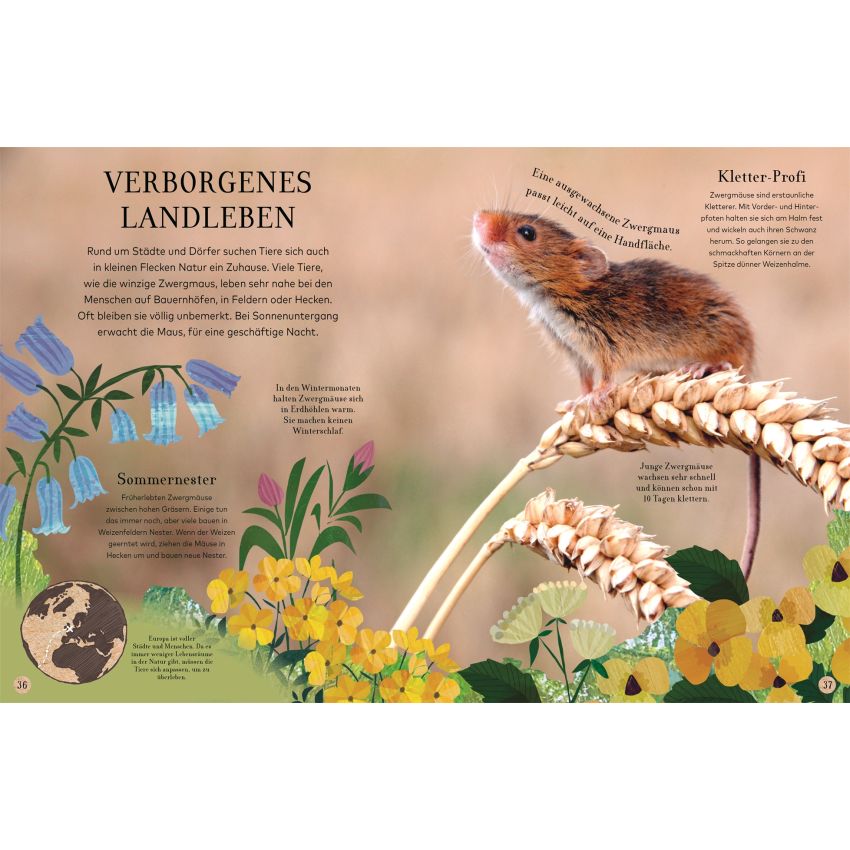 Dorling Kindersley - Wilde Tiere - Eine Reise durch frostige Wälder, tiefe Meere und dichte Dschunge