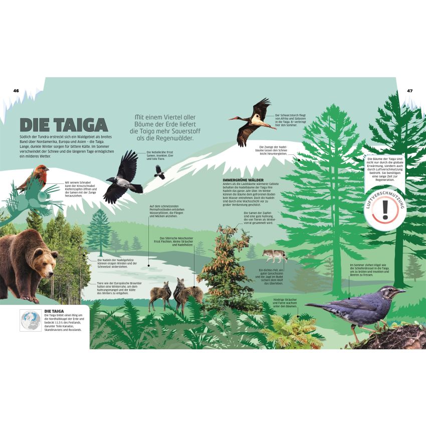 Dorling Kindersley - Eis