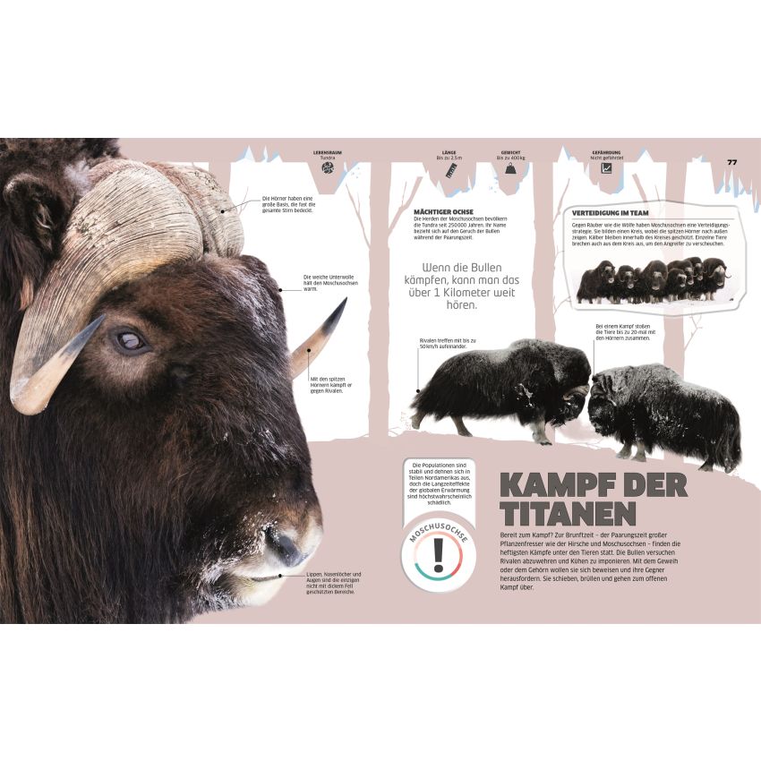 Dorling Kindersley - Eis