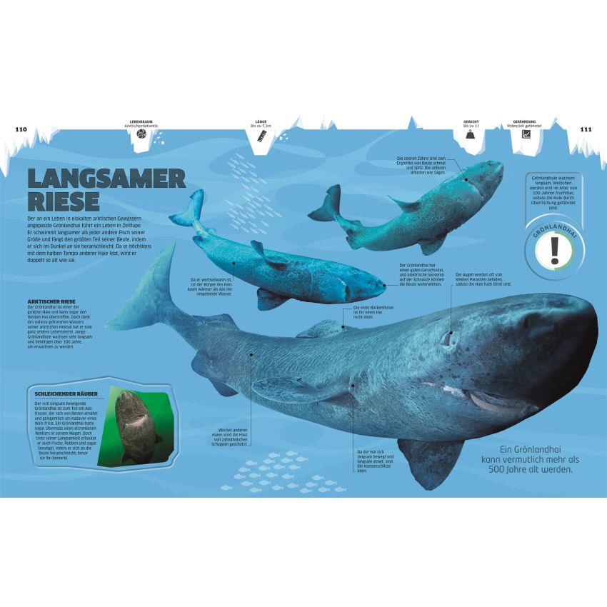 Dorling Kindersley - Eis