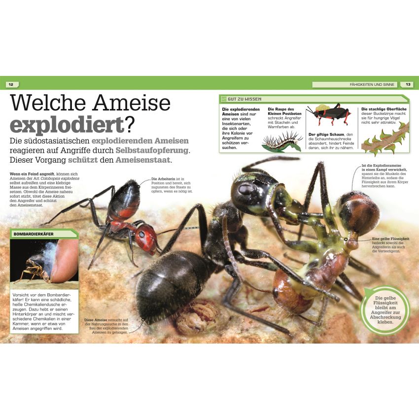 Dorling Kindersley - Total verrückte Tiere