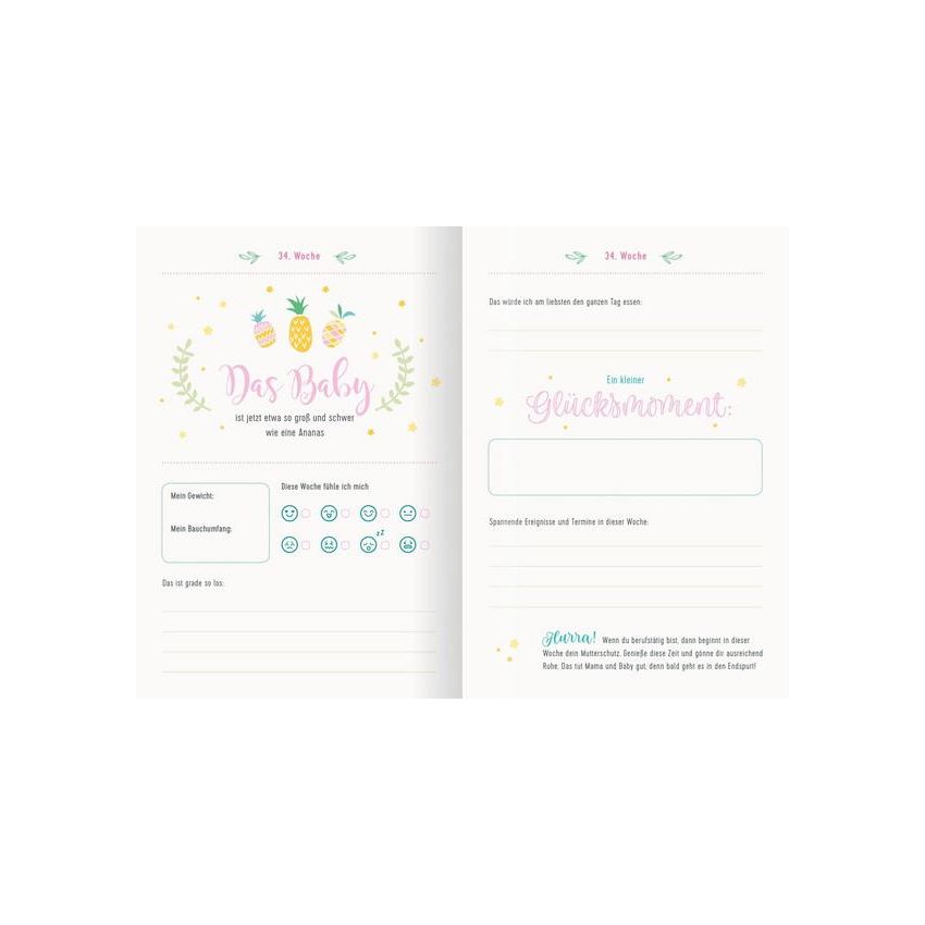 arsEdition - Oh Baby! Mein Schwangerschaftstagebuch