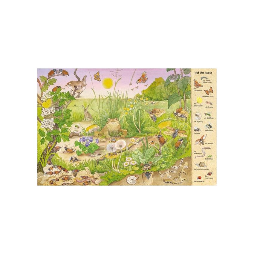 Esslinger Verlag - Mein erstes Wimmelbuch: Krabbeltiere in Feld, Wald und Wiese