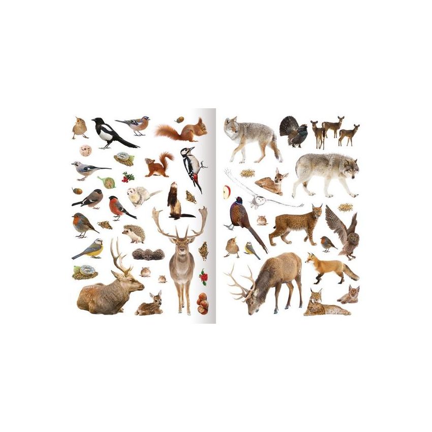 Mein Foto-Stickerspaß - Tiere im Winter