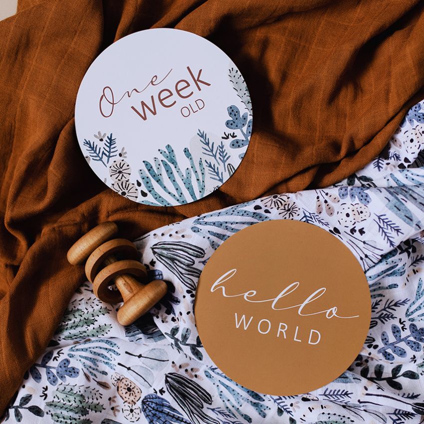 Snuggle Hunny - Meilenstein Karten Arizona & Bronze