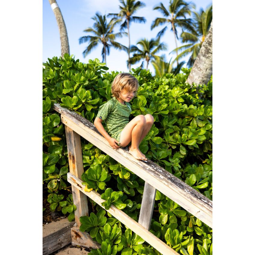 Beach & Bandits - UV Badeshorts Endless Palm