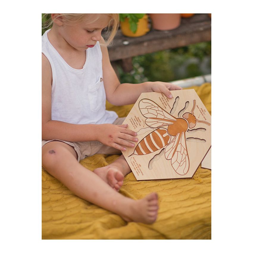 Stuka Puka - Holz Puzzle Bienen Anatomie (deutsch)