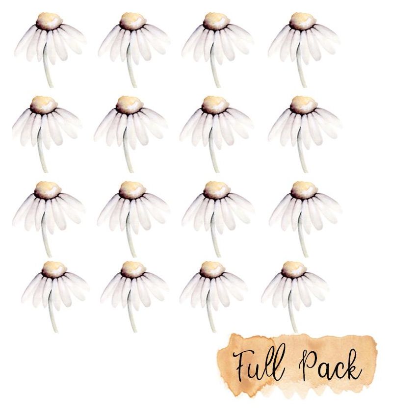 Little Rae Prints - Wandsticker Mini Flowers