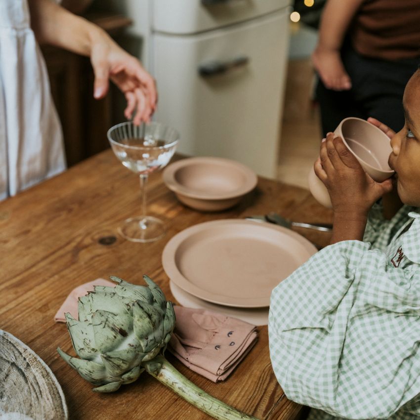 Elodie - Geschirrset Saugnapf Blushing Pink