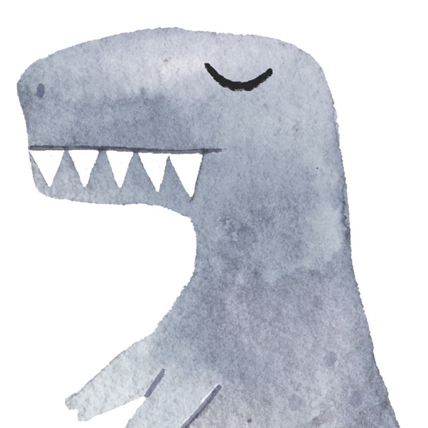 Ginger Monkey - Dinosaurier 1/2 Set