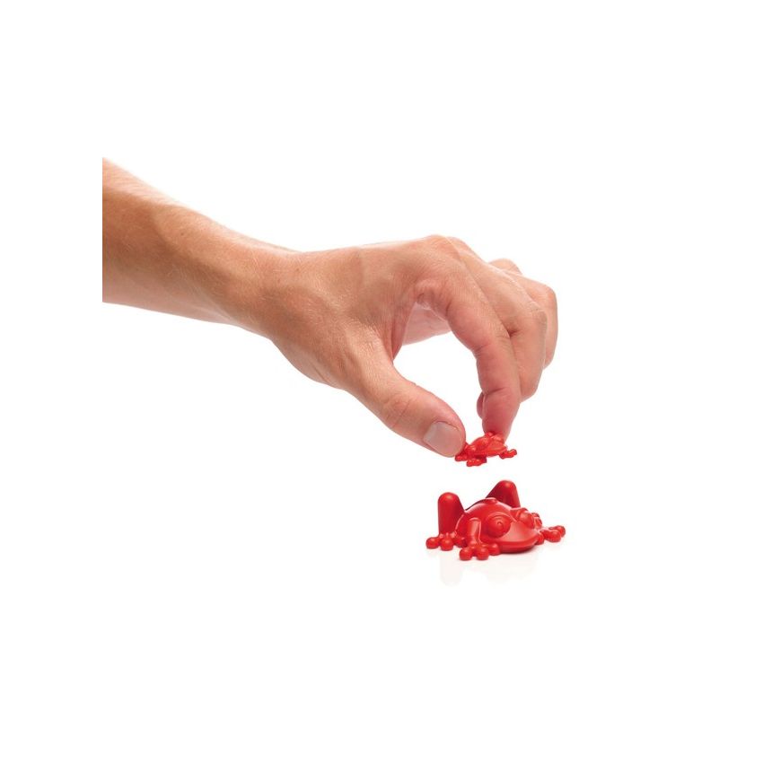 Smart Games - Froggit