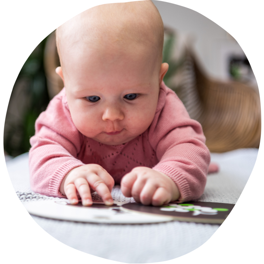 HANNiline - Kontrastkarten ab dem 1. Lebensmonat