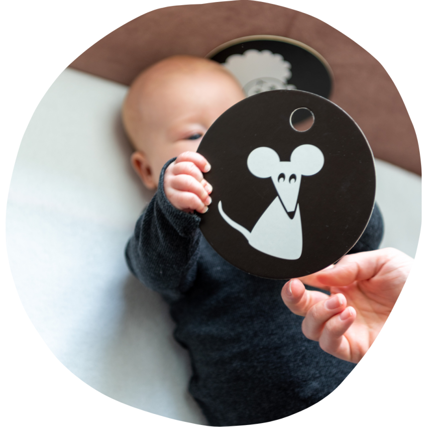 HANNiline - Kontrastkarten ab dem 1. Lebensmonat