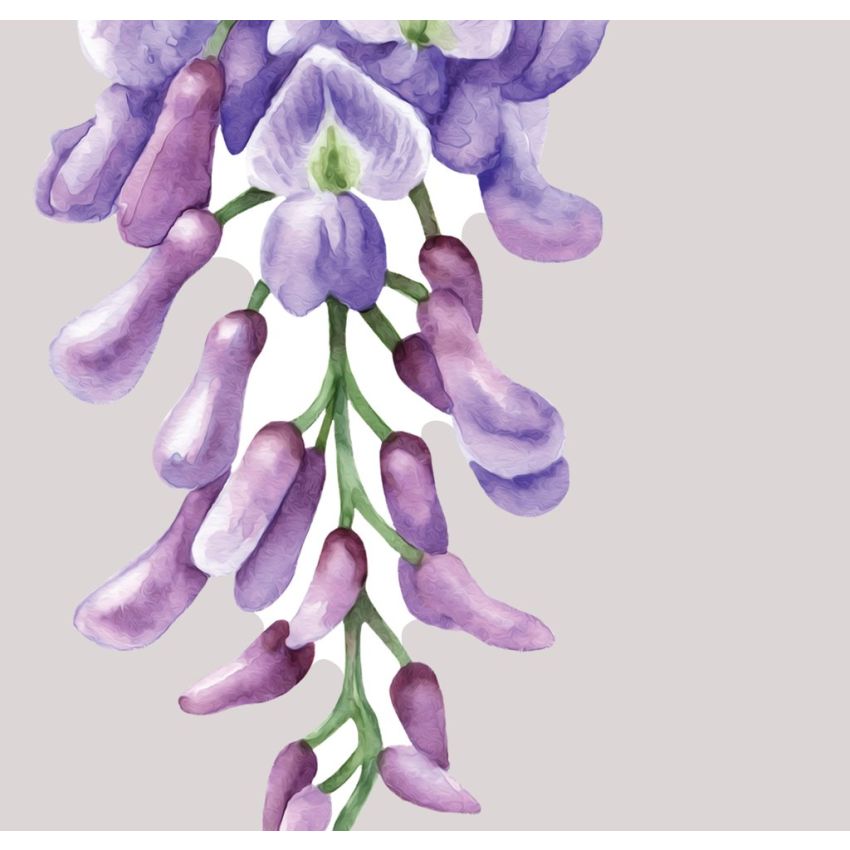 Ginger Monkey - Hydrangea blue & lila