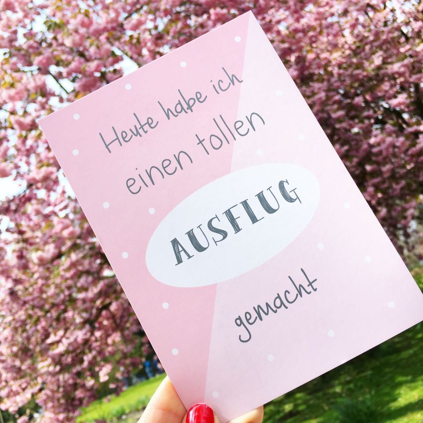 mintkind - Meilensteinkarten- Set Junior