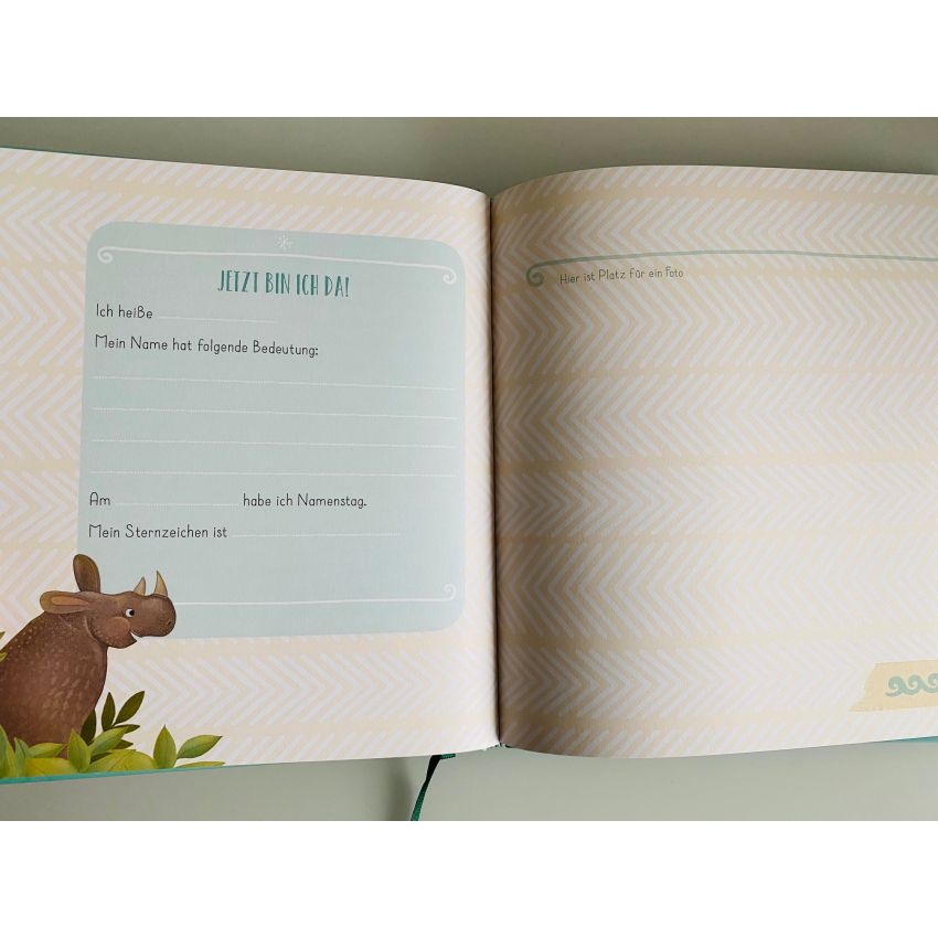 Camino Verlag - Mein Babyalbum