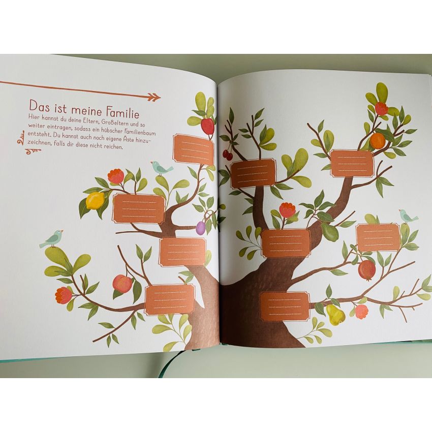 Camino Verlag - Mein Babyalbum