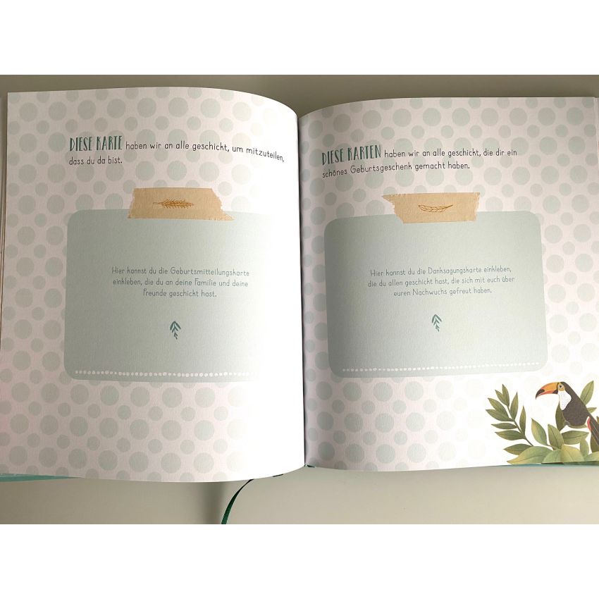 Camino Verlag - Mein Babyalbum