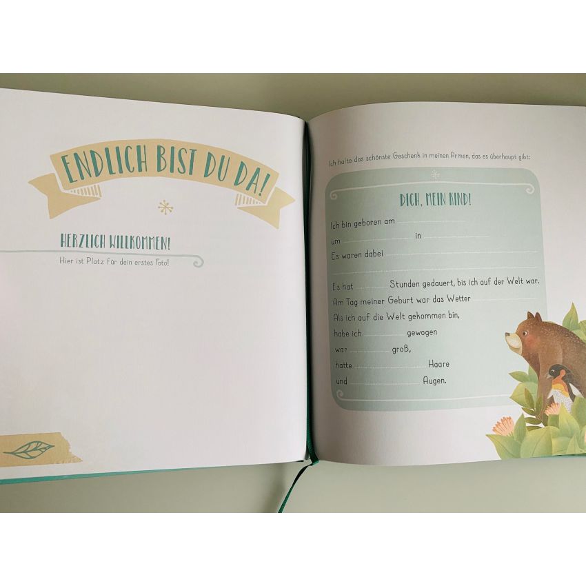 Camino Verlag - Mein Babyalbum