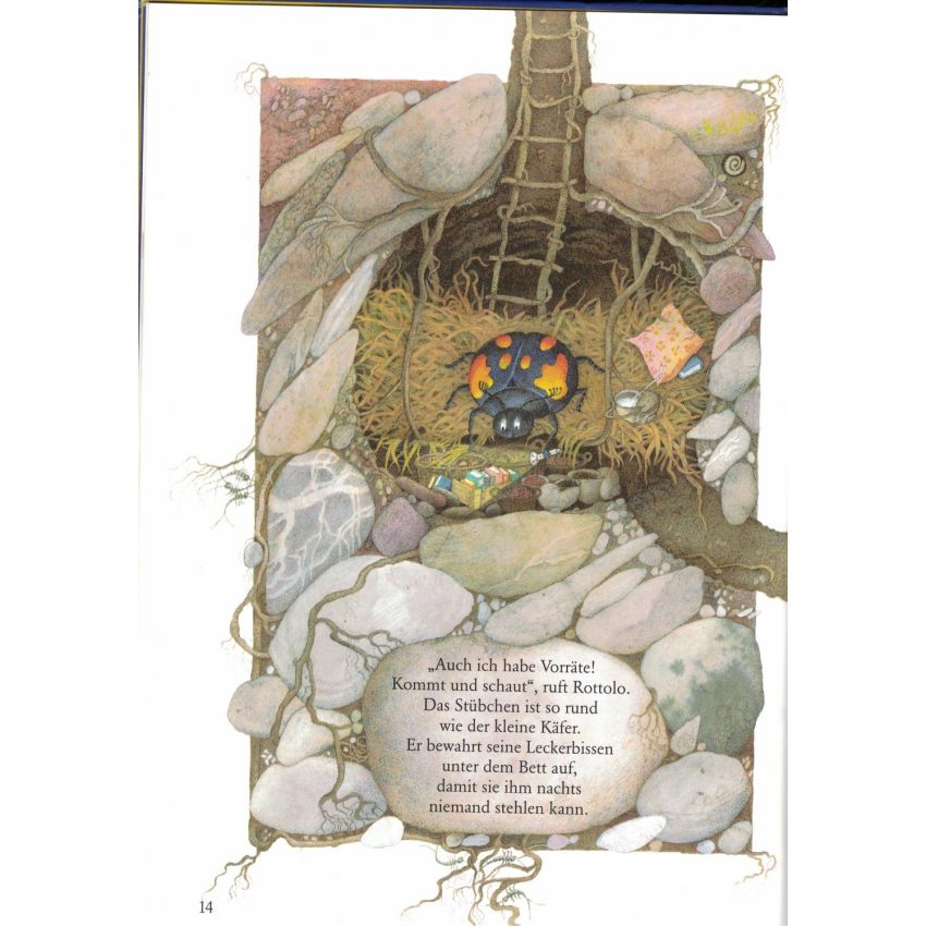 NordSüd Verlag - Im Traum kann ich fliegen