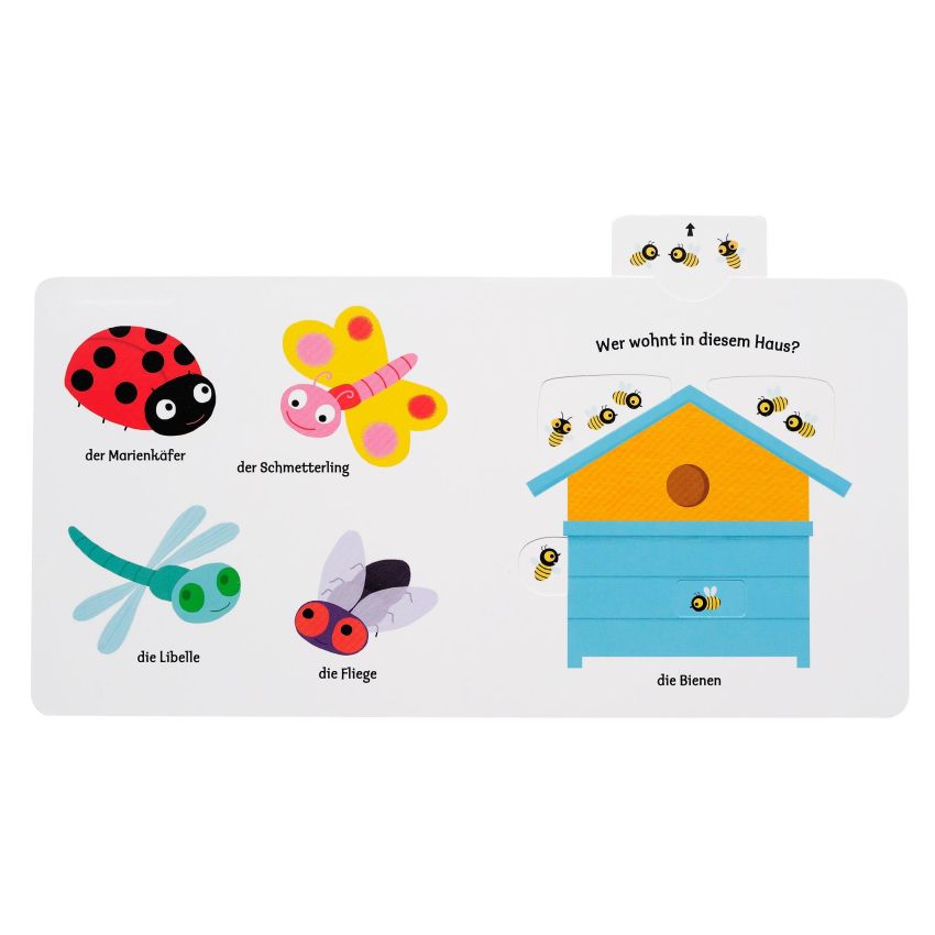 arsEdition - Mein erstes Buch von den kleinen Tieren