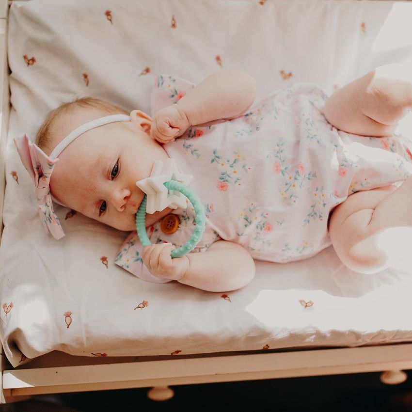 jellystone designs - Stern Greifling Türkis & Weiss