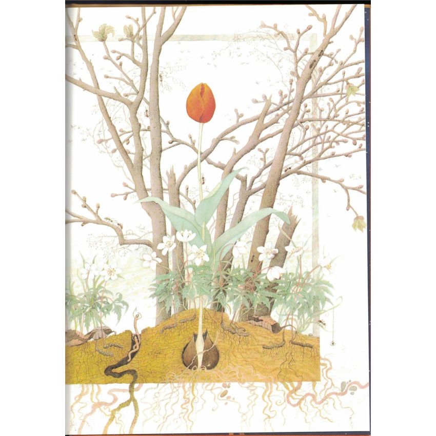 NordSüd Verlag - Im Traum kann ich fliegen