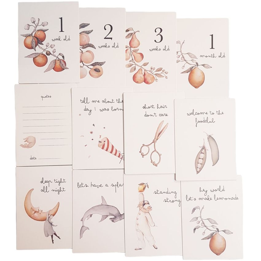 Konges Sløjd - Meilensteinkarten