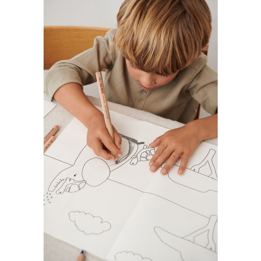 LIEWOOD - Papier Collection: Malbuch Tiere