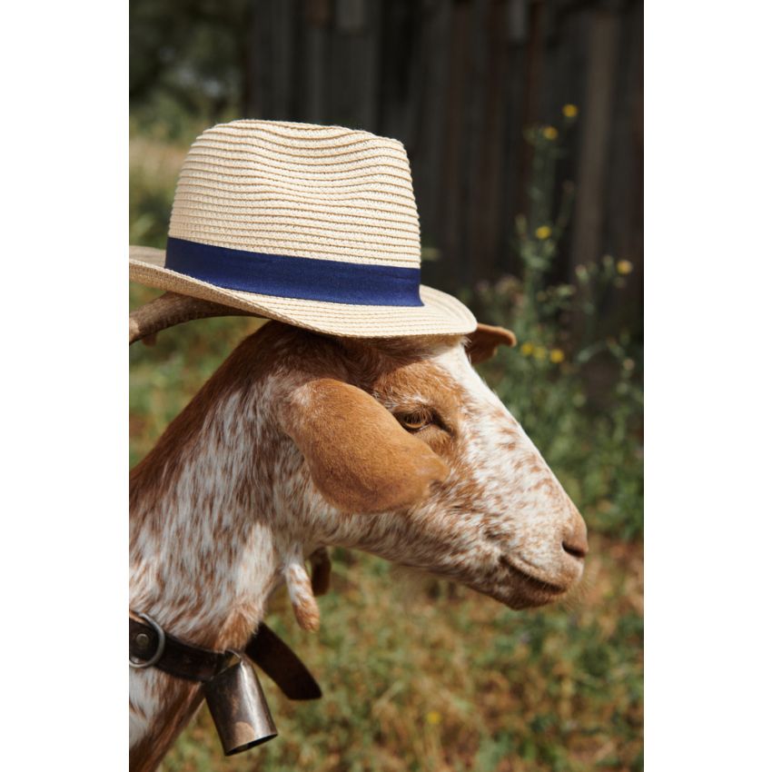 LIEWOOD - Doro Strohhut Nature - Navy