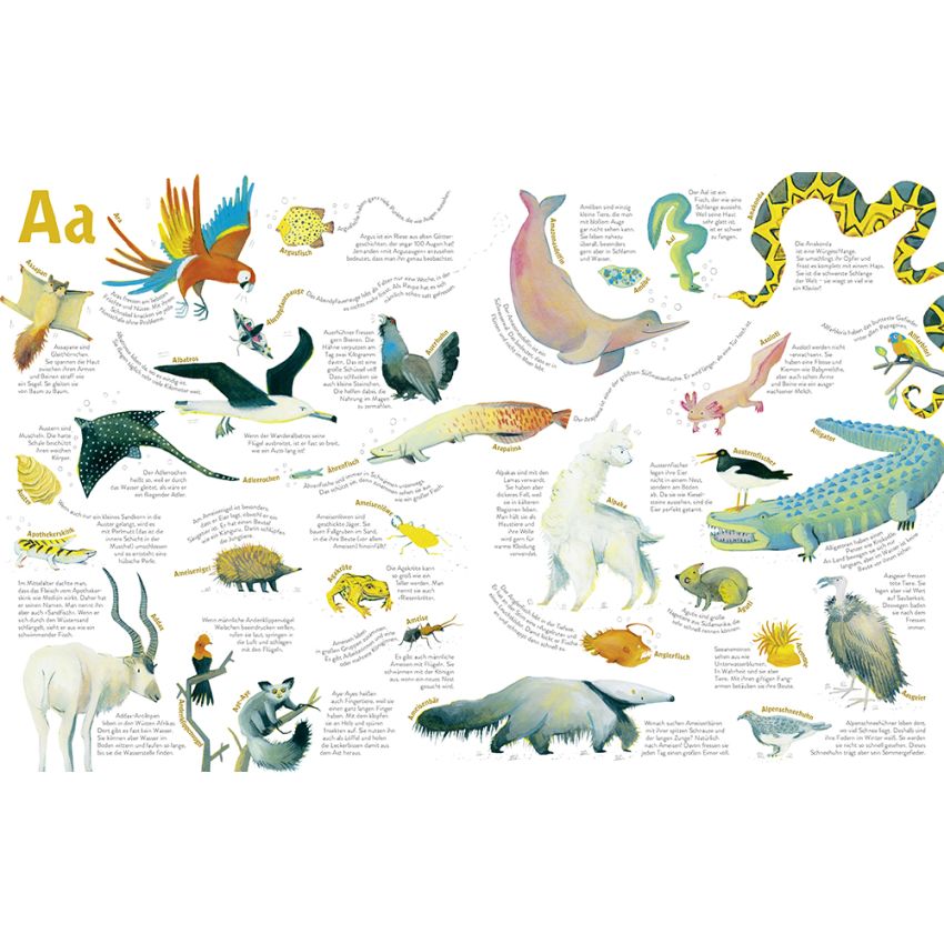 Moses Verlag - Alle Tiere, die ich (noch nicht) kenne