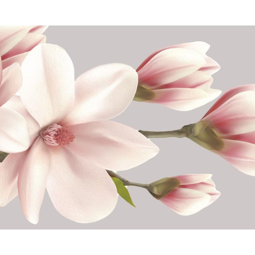 Ginger Monkey - Pink Magnolia