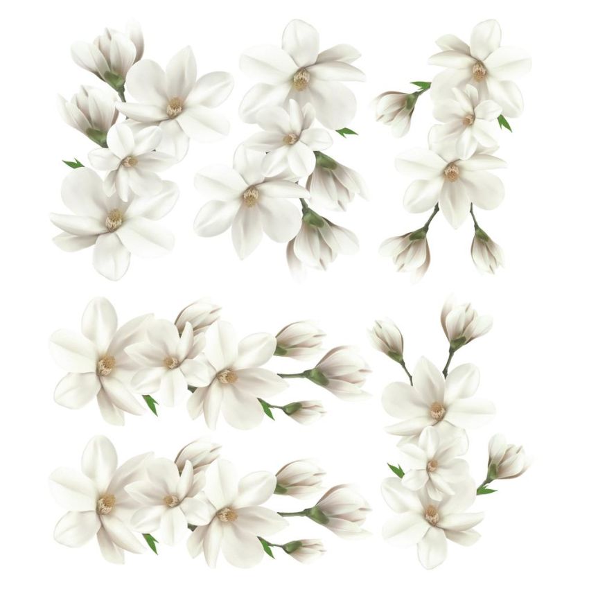 Ginger Monkey - White Magnolia